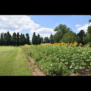 Meet your Posher, Sam